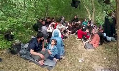 81 Şengalli, Türkiye ile Yunanistan sınırındaki bir adada mahsur kaldı