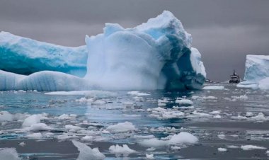 Bilim insanları 'artık çok geç' diyerek uyardı