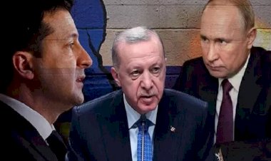 Erdoğan Zelenskiy ve Putin’le görüştü