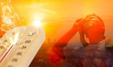 Meksika'da aşırı sıcaklardan 8 kişi hayatını kaybetti