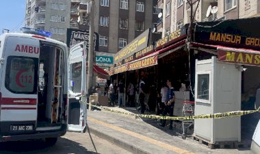 Diyarbakır'da yine arazi anlaşmazlığı: 2 kardeş yaşamını yitirdi
