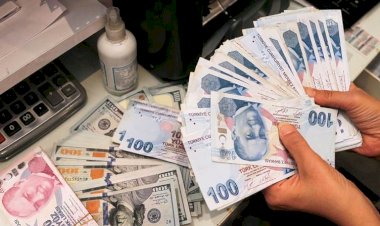 Faiz artırımı sonrası dövizde rekor: Dolar 25 lirayı, Euro 27 lirayı geçti