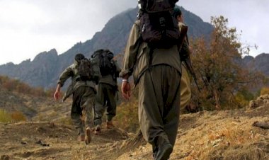 HPG, Ordulu kadın üyesinin hayatını kaybettiğini duyurdu