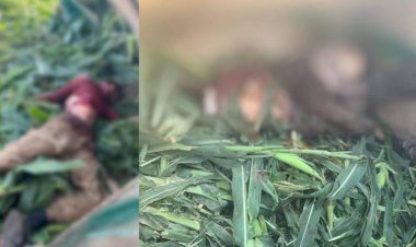 Kerkük'te 3 IŞİD’li öldürüldü