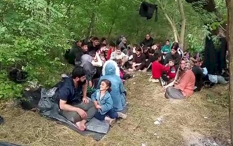81 Şengalli, Türkiye ile Yunanistan sınırındaki bir adada mahsur kaldı