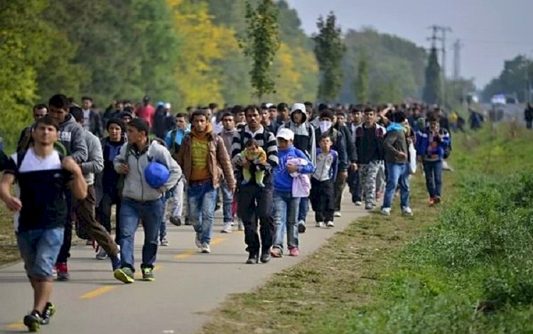 Dünyada en fazla mülteciye sahip olan ülkeler belli oldu!