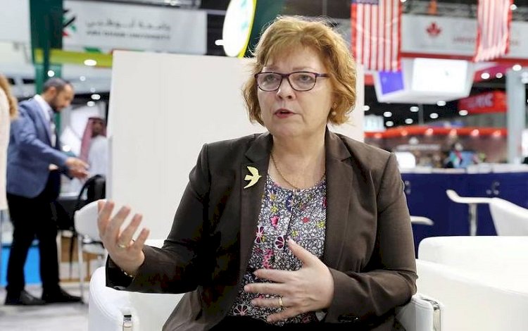 ABD'li yetkili: Kürdistan Bölgesi Irak’la ilişkimizin ayrılmaz parçası
