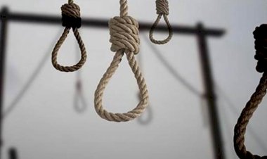 İran İnsan Hakları Örgütü: 6 ayda 354 kişi idam edildi