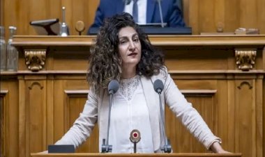 İsviçre Milletvekili Arslan: Kürtler birlik olmadığı müddetçe uluslararası alanda ortak bulmaları zor