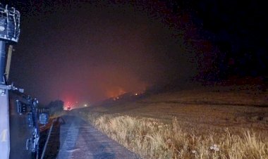 Diyarbakır Lice'de ormanlık alanda yangın