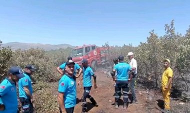 Diyarbakır’daki yangın kontrol altına alındı
