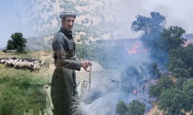 Amedi'de çiftçiler TSK- PKK çatışması nedeniyle ovalara taşınıyor