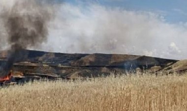 Diyarbakır'da iki günde 25 hektar arazi yandı