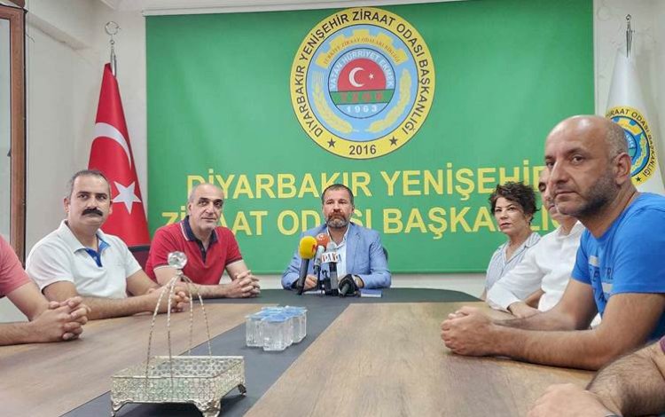 TMO buğday alımını geciktirdi, Diyarbakırlı çiftçiler TMO’dan randevu alamıyor