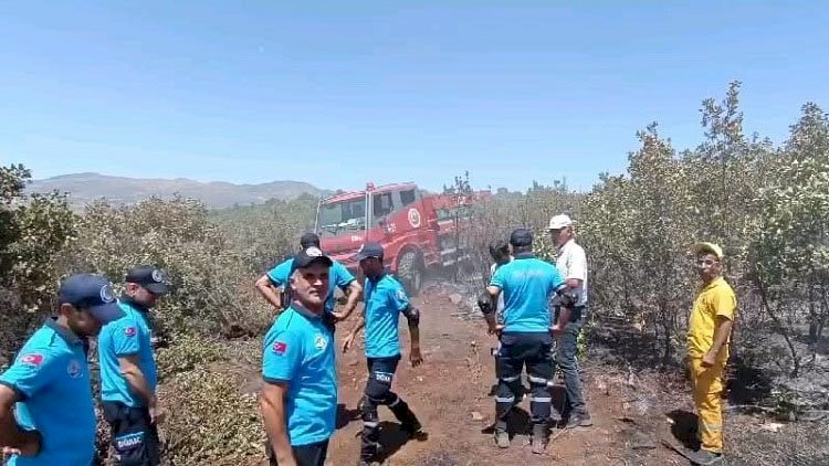 Diyarbakır’daki yangın kontrol altına alındı