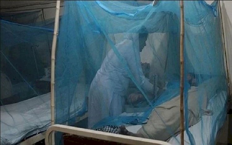 DSÖ: Dünyanın yarısı dang humması virüsüne yakalanma riskiyle karşı karşıya