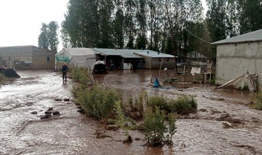 Van’da dolu ve sağanak sele neden oldu