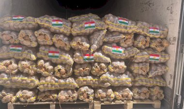 Kürdistan Bölgesi’nde üretilen 120 ton patates BAE’ye ihraç edildi