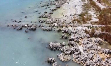 Suların çekildiği Arin Gölü'nün kıyıları otlağa dönüştü