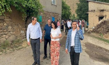 Yeşil Sol Partili vekil Bitlis’teki olayları Ali Yerlikaya’ya sordu