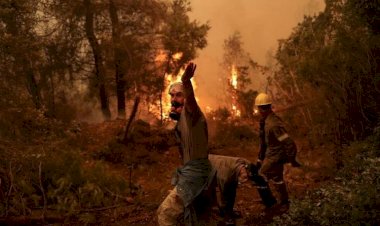 Yunanistan'da yangınların devam ettiği bölgede 18 kişinin cesedi bulundu