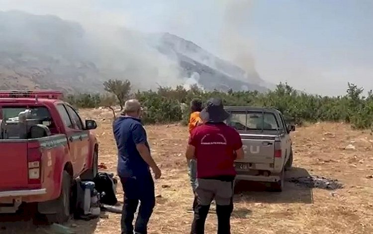 Diyarbakır Hani'de orman yangını