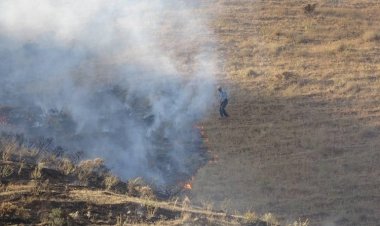Bitlis'te çıkan örtü yangınında 12 hektar alan zarar gördü