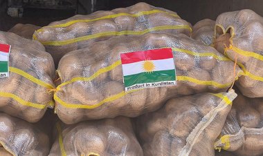 Kürdistan Bölgesi’nden BAE’ye bin ton patates ihraç edildi