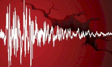 Maraş'ta korkutan deprem: Adana dahil pek çok kent sallandı!