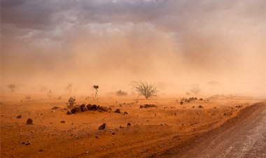 Avustralya Vekil'den 'iklim' çağrısı: Tek şansımız var!