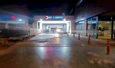 Mardin'de otomobile silahlı saldırı: 1 ölü