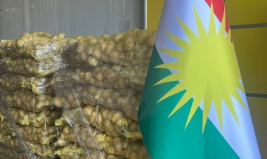 Suudi Arabistan'a 250 ton Kürdistan patatesi ihraç edilecek