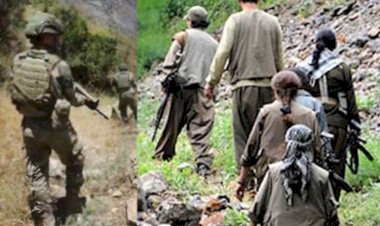 Lice'de operasyon: 3 PKK'li hayatını kaybetti