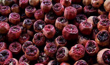 Çek Cumhuriyeti Erbil Başkonsolosu: Çek pazarında Kürdistan narlarını görmeyi çok isterim