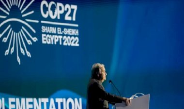 Guterres'ten iklim krizi çağrısı: Buzullar eriyor ve bunun geri dönüşü yok!