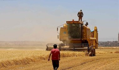 Kürdistan Bölgesi'nde 3 milyon dönüm alana buğday ve arpa ekilecek