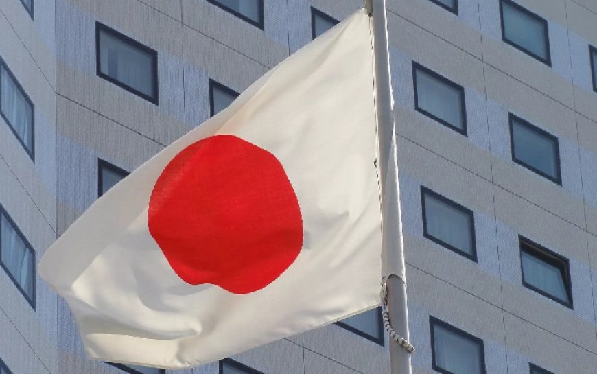 Rus uzman, Japonya’nın PKK kararının olası nedenlerini anlattı