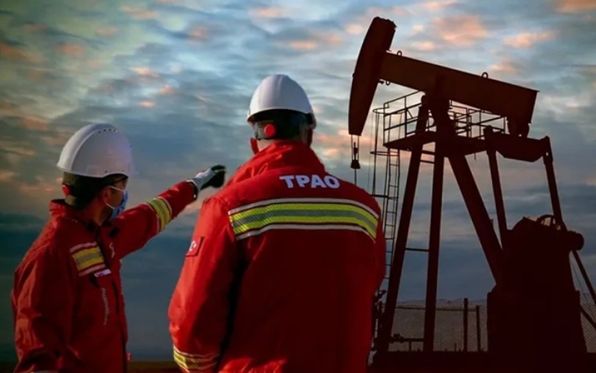 Siirt ve Diyarbakır'daki 2 petrol sahasında kamulaştırma kararı