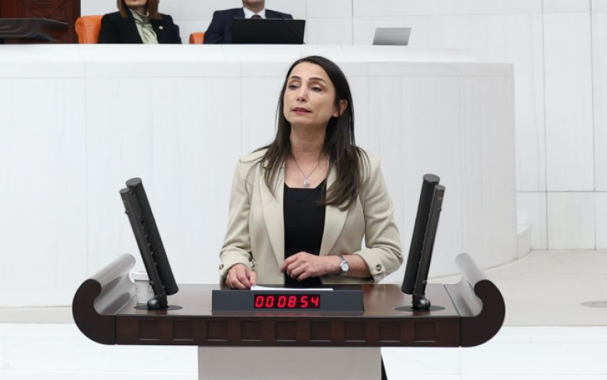 DEM Parti'den yeni Anayasa açıklaması