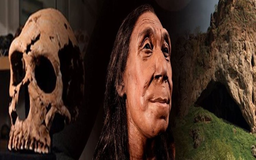 Soran Arkeoloji Müdürü: Neandertal kadına ait kafatası Kürdistan Bölgesi'ne iade edilecek