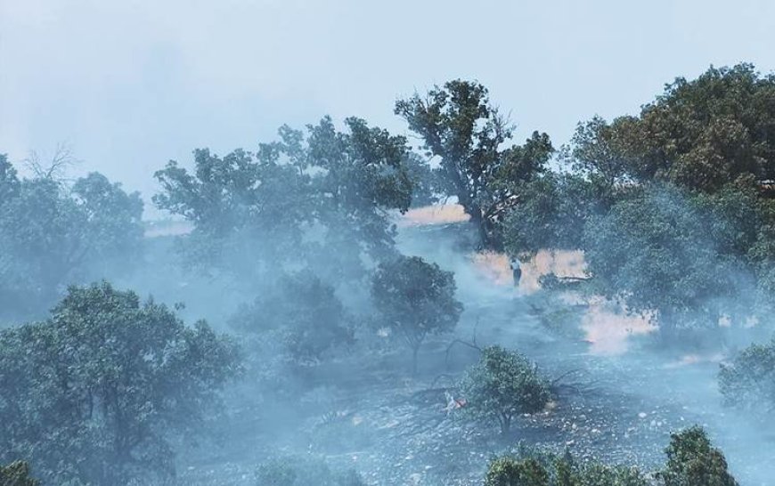 TSK'nin hava saldırıları Amedi'de yangınlara sebep oldu