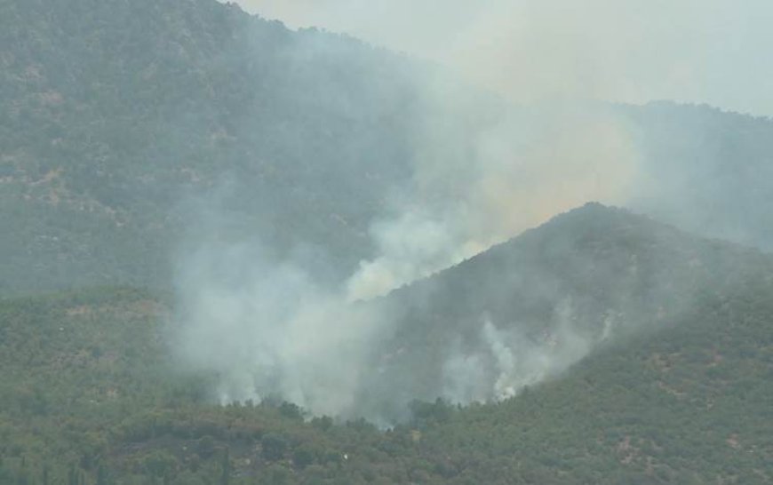 TSK-PKK çatışması nedeniyle Amedi ilçesindeki binlerce dönüm arazide yangın