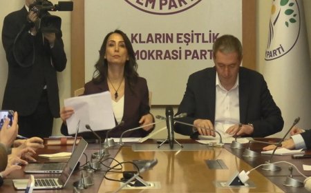 DEM Parti'den açıklama: Erdoğan ile görüşme olacak mı?