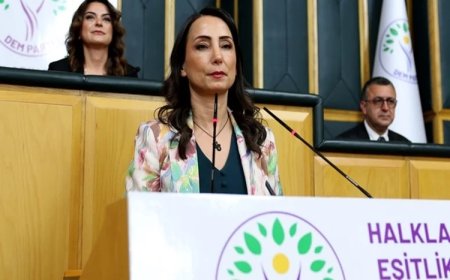 DEM Parti 'den Erdoğan ile Görüşmeye İlişkin Açıklaması