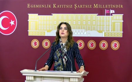 DEM Parti: Türkiye demokratikleşmeden Kürt sorunu çözülemez