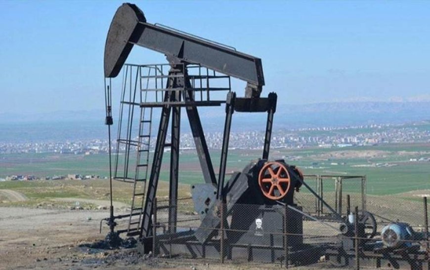 TPAO Diyarbakır’da petrol ve gaz için iki ABD’li şirketle anlaştı