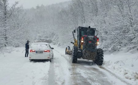 Nisanda yoğun kar yağışı: Bitlis, Muş ve Hakkari'de 127 köy yolu kapandı