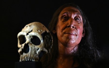 Shanidar Z, Kürdistan'a dönüyor