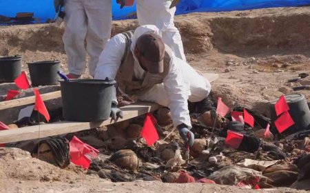 31 toplu mezardan 1700 Kürt şehidin kemikleri çıkarıldı