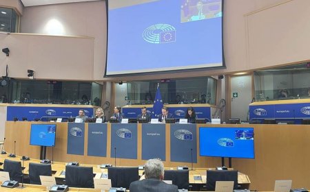 AP raporunda 'Bahçeli ve Öcalan'ın Kürt sorununun çözümündeki rolüne övgü